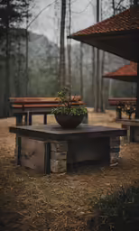 a large bowl with a plant in it sitting on a stone structure