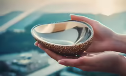 an image of someone holding up a small bowl