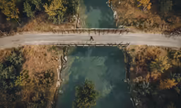 person on bike crossing over bridge between trees