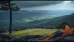 two trees on the hillside on a stormy day