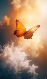 a butterfly flying through the air near the clouds