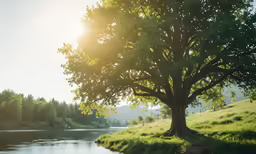 a tree that is next to the water