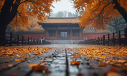 a park scene with fallen leaves on the ground