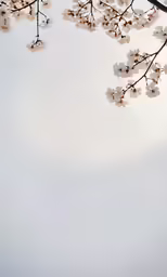 a tree that has flowers on it and some light