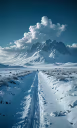 long path with man walking down it under snow