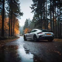 a car on the side of the road surrounded by trees