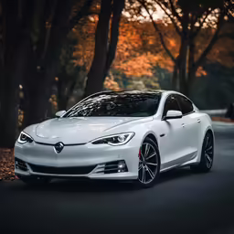 a white car driving down a road with trees around