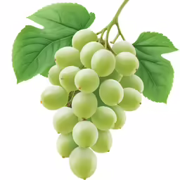 white grapes with leaves on the branch