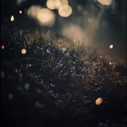 blurry image of plants with rain on them
