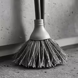 a black and white photo of a broom