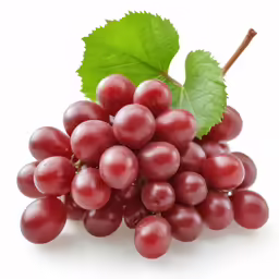 the grapes and leaves of the plant are red
