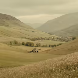 a grassy field with houses and mountains on the horizon