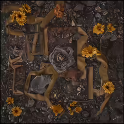 a bunch of flowers that are sitting in the ground