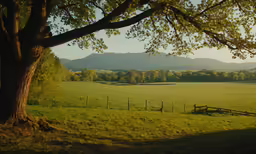 a fence and a large field in the background