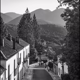 black and white photograph of mountains near town with trees