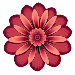 a pink flower on a white background,the flower is red and pink on the white background