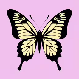the front view of a yellow and black butterfly,butterfly in black and white on a pink background
