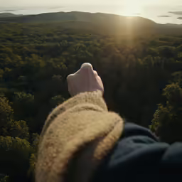 a person standing in front of a forest looking at the sun