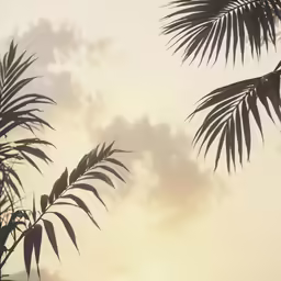some leaves on some trees against the light