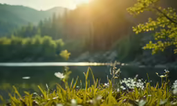 a view over a lake from the grass