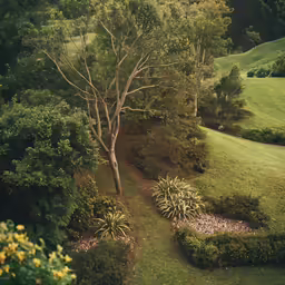 a pathway that is surrounded by grass and trees
