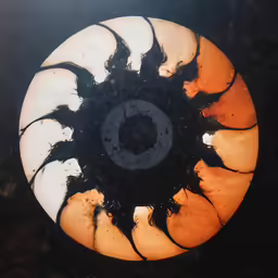 an art work with black and orange petals