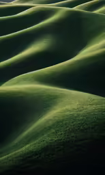 the green grass on the hill has a large shadow