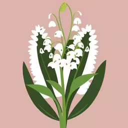 flowers against a pink background in the style of a flower arrangement,an illustration of a white flower on a light pink background