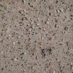 several rocks and shells on the ground with a blue pin