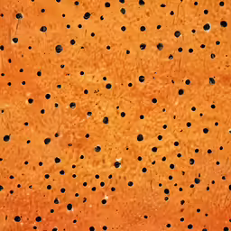 holes on the surface of an orange surface