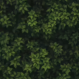 the dark green leaves are covering the tree