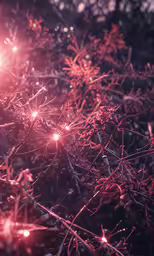 some very pretty flowers and grass at night