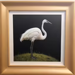 a picture with a bird standing in the grass