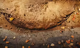 a dirty looking street with lots of water drops