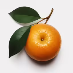 an orange has green leaves on it as well
