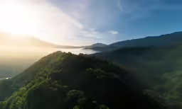 aerial view of the trees on a forested mountain