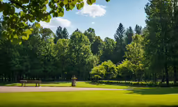 a bench is sitting in a lush green field