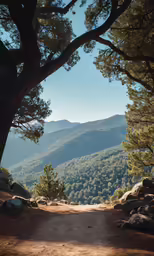 a dirt path cuts through some mountains with pine trees