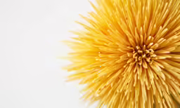 the flowers are yellow and white with some small holes in them