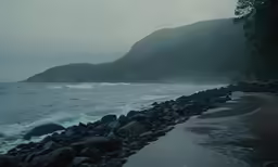 a beach that has a very large body of water near it