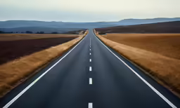 a long straight road surrounded by dry grass
