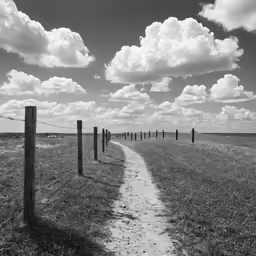 a path in a dry grassy plain leads to a line of wooden posts