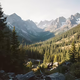 a view of some mountains and trees, with snow on top