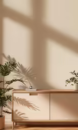 an indoor plant in front of a cabinet