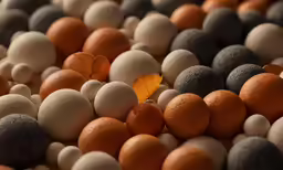 some rocks are next to a leaf that is laying on the ground