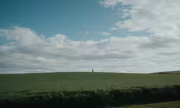 a lone figure standing in the middle of a field