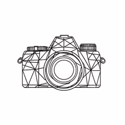 the lines in the frame are used to create the image
