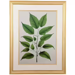 a painting with a golden frame of green leaves