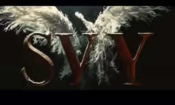 a ty type of writing with wings flying out