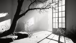 an open window overlooking the ground, snow and trees